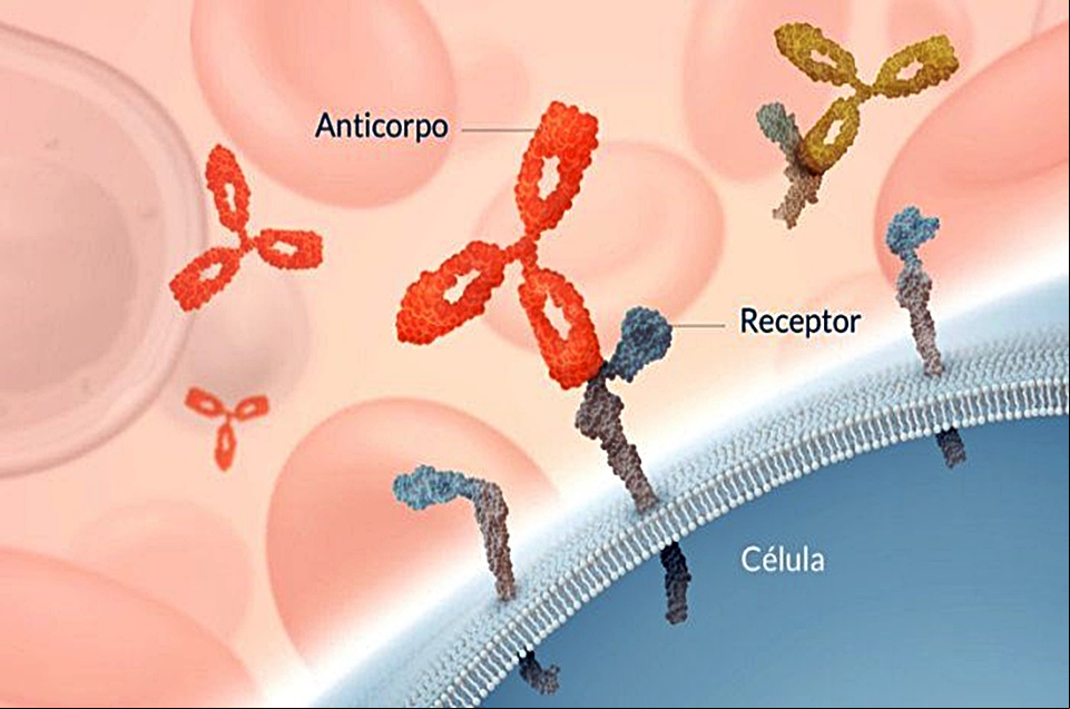 Biofármacos estima faturamento de R$ 600 milhões em 2020