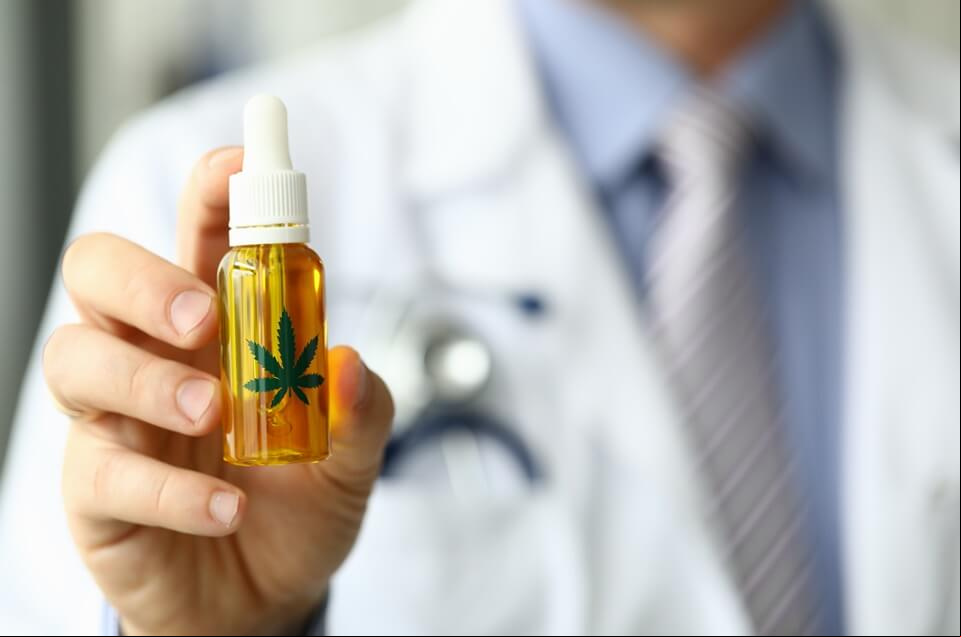 Cannabis S/A: Como a nova regulamentação tem animado o mercado